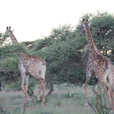Wag N Bietjie Bush Lodge Heuningneskloof Экстерьер фото