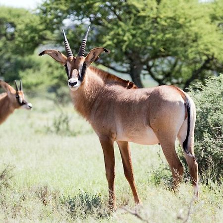 Wag N Bietjie Bush Lodge Heuningneskloof Экстерьер фото