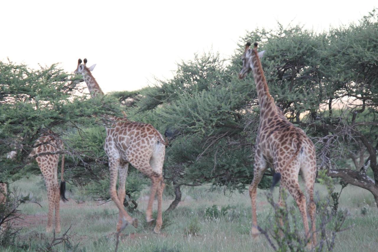 Wag N Bietjie Bush Lodge Heuningneskloof Экстерьер фото