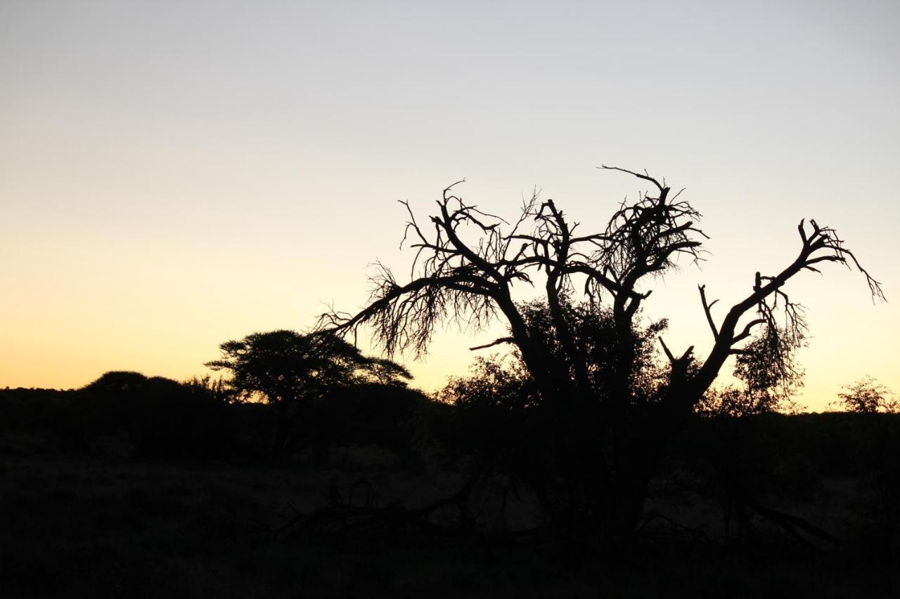 Wag N Bietjie Bush Lodge Heuningneskloof Экстерьер фото